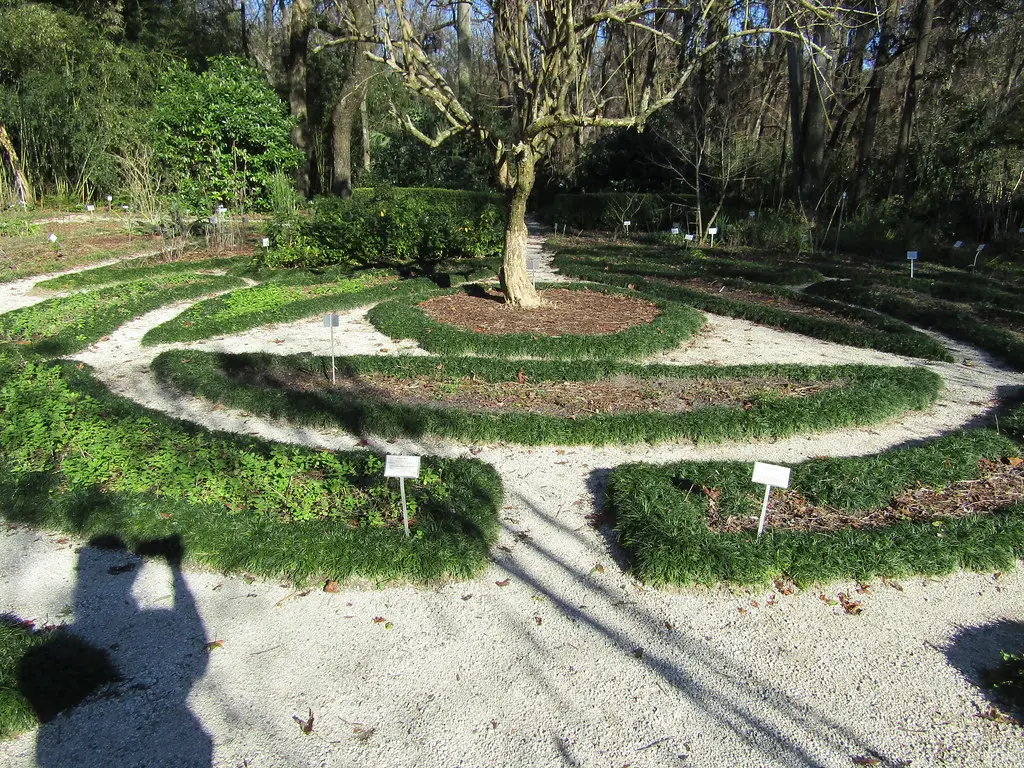 Above-Ground Runners Are a Separate Problem (wallygrom, Flickr, CC BY-SA 2.0)
