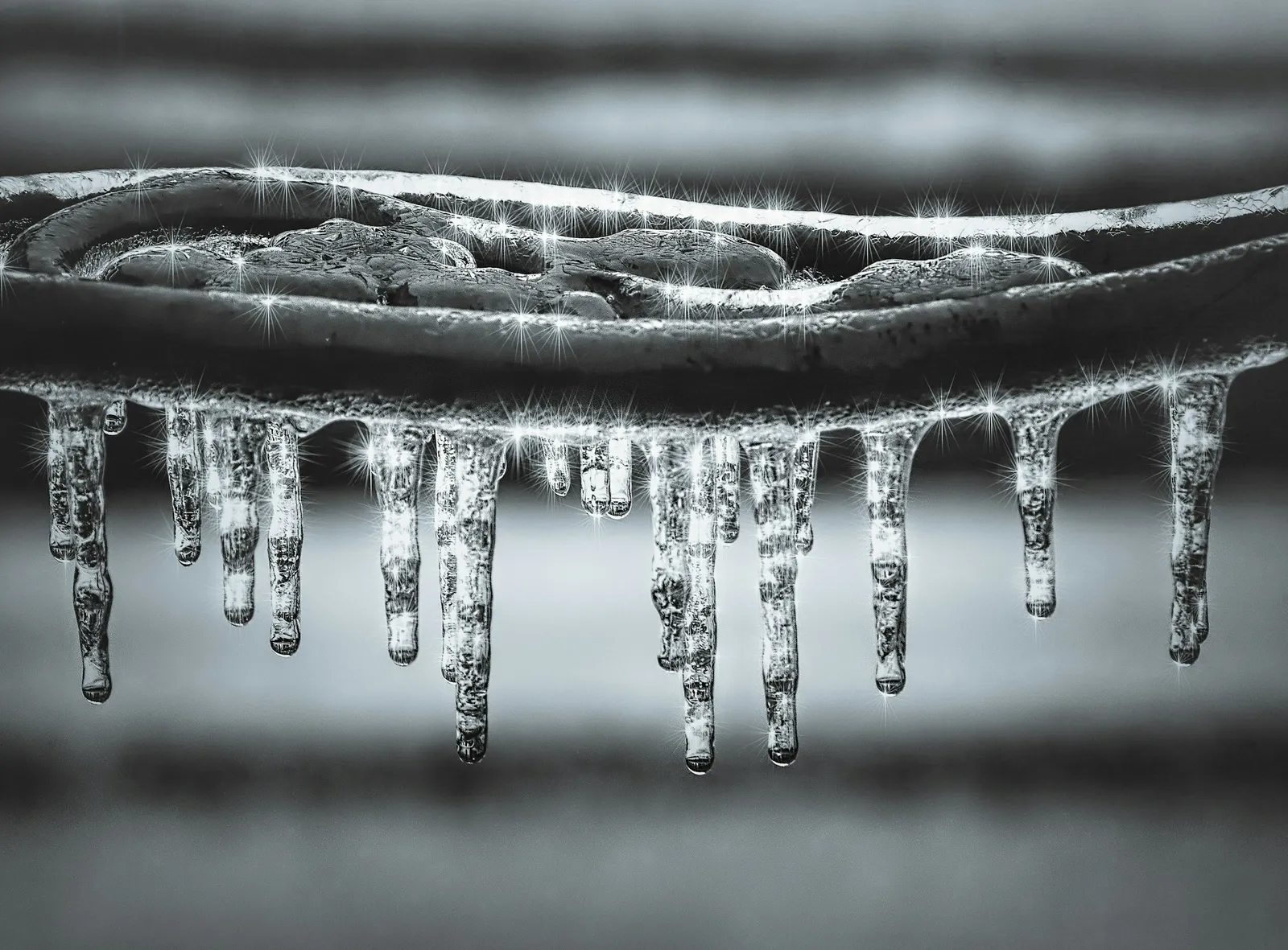 How a Garden Hose Traps Water Where It Shouldn't Be (Image Credits: Unsplash)