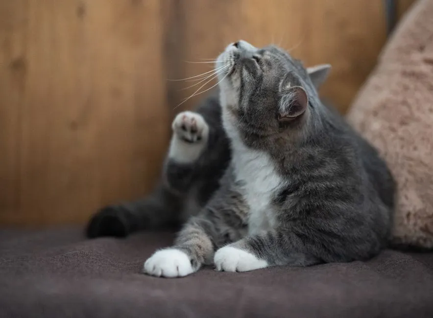 The Wild Ancestor Behind the Gesture (Image Credits: Pexels)