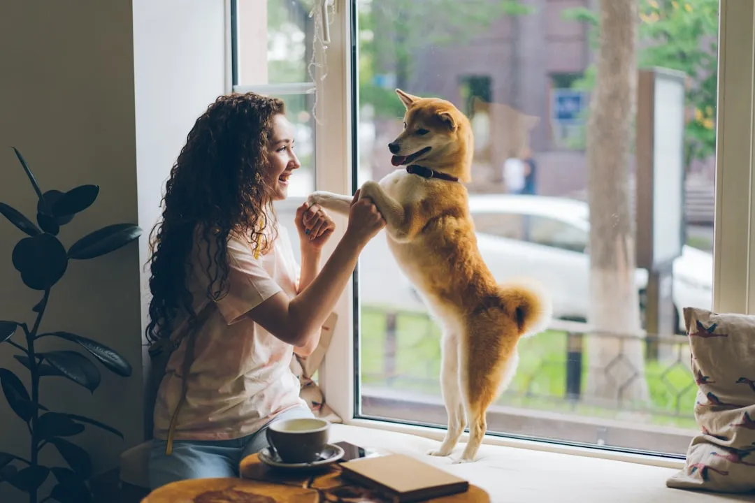 5. Pets (Image Credits: Unsplash)