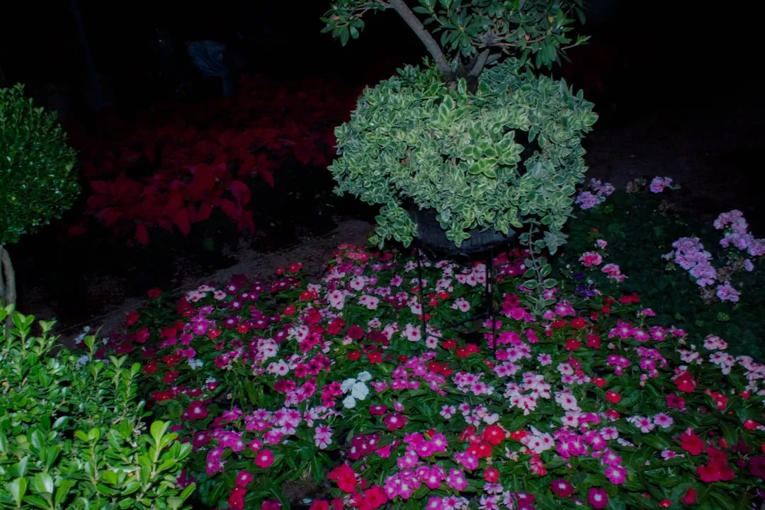 Additional Natural Controls to Support Your Nightly Patrol (Image Credits: Unsplash)