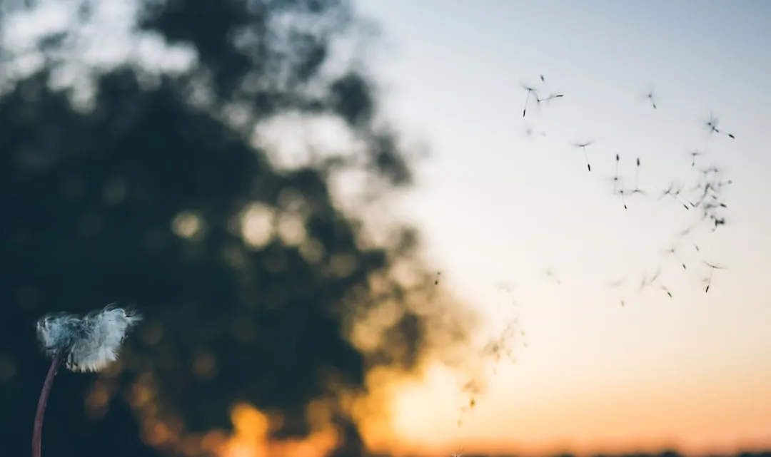Why Pulling Them Often Makes Things Worse (Image Credits: Unsplash)