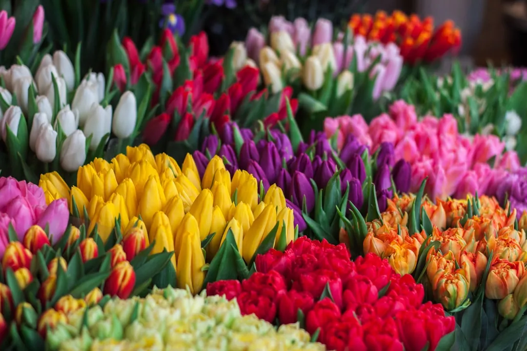 How Much of a Difference Does It Make? (Image Credits: Unsplash)