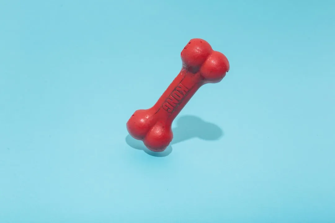 1. Cheap Plastic: The Most Common Offender (Image Credits: Unsplash)