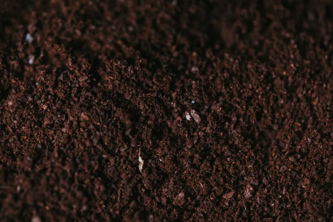 Soil Nutrition and Nutrient Imbalances (Image Credits: Unsplash)