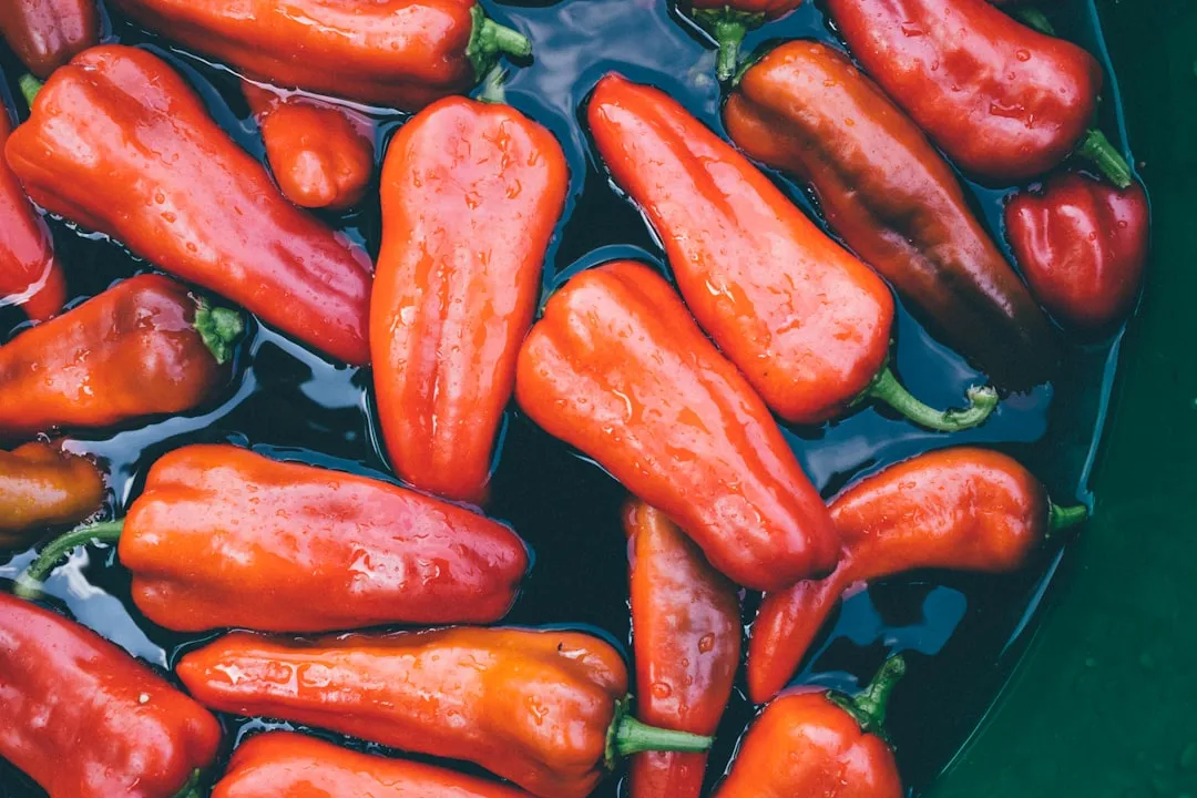 Watering Frequency: Less Is Often More (Image Credits: Unsplash)