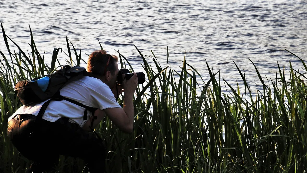 Where Hidden Photos Are Still Waiting to Be Found (Image Credits: Pixabay)