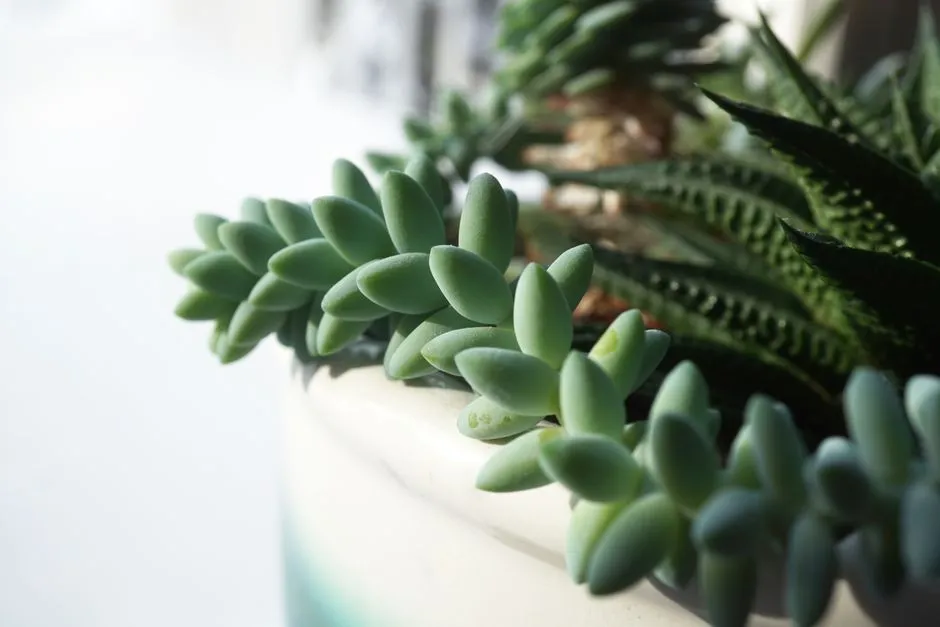 Fertilizing in Winter Backfires Badly (Image Credits: Pexels)