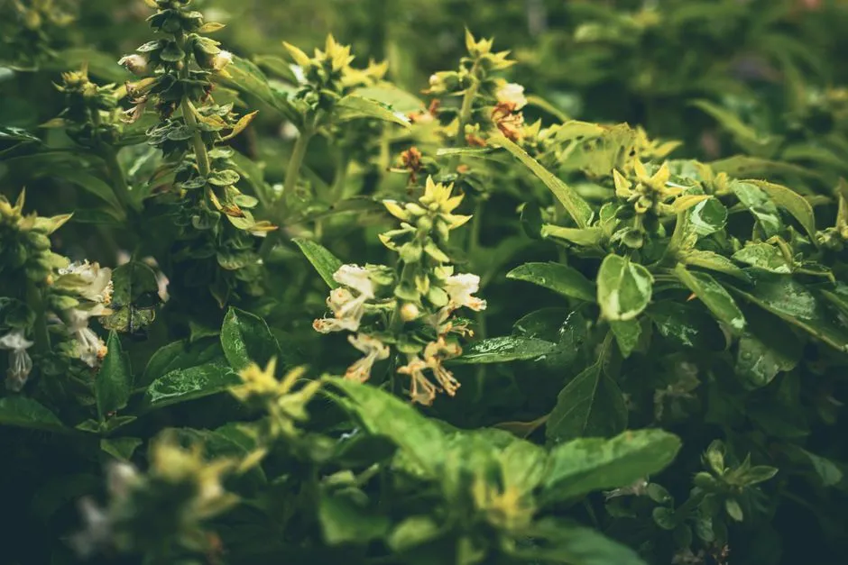 Daylight Hours Are Pulling the Trigger (Image Credits: Pexels)