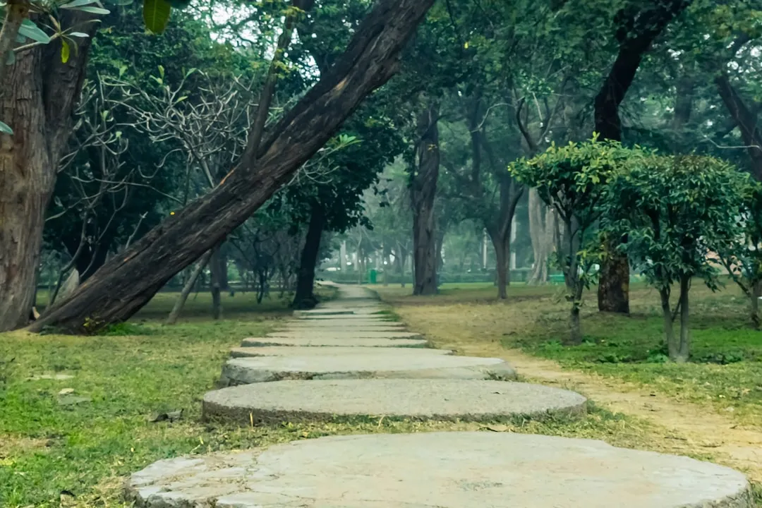 4. Create Wide, Stable Pathways (Image Credits: Unsplash)
