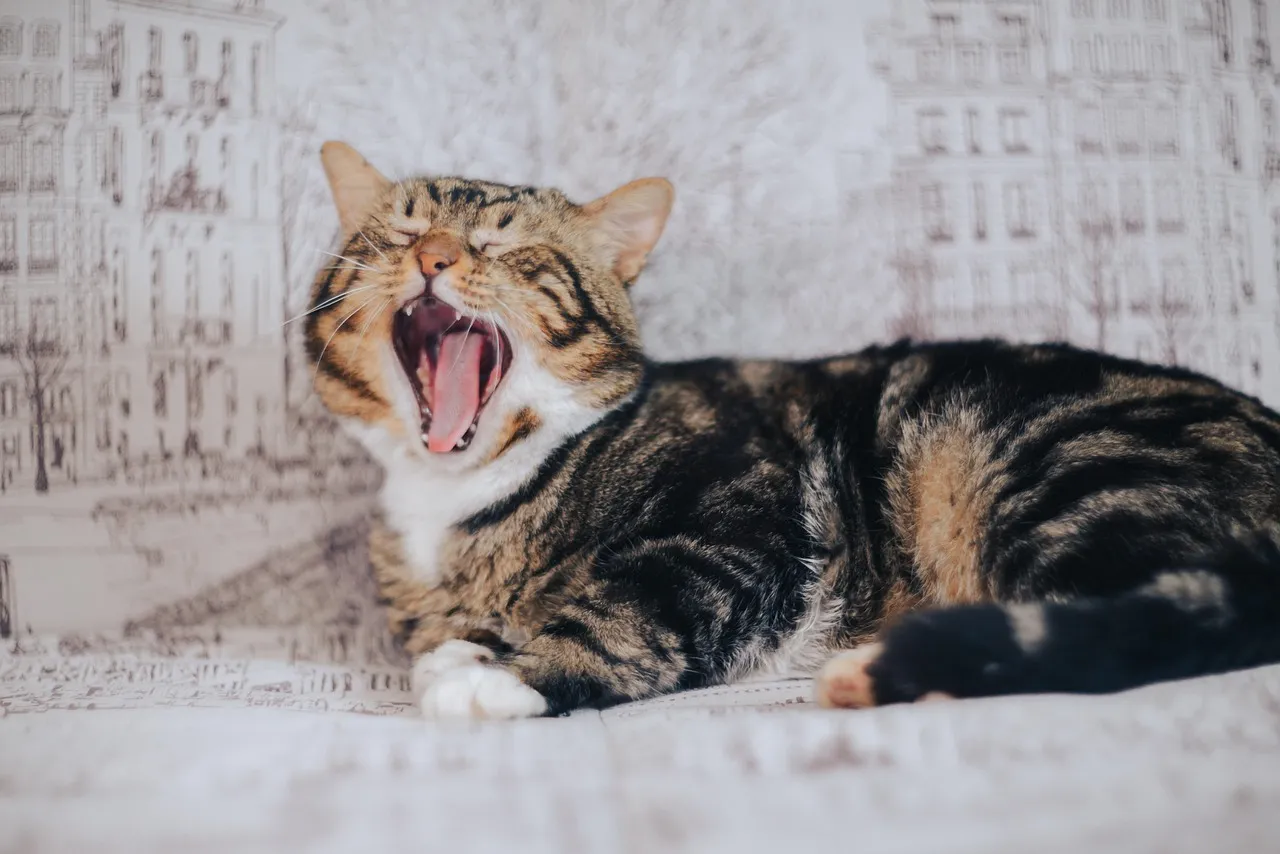 Exposing Them to Loud Ambient Noise (Image Credits: Pixabay)