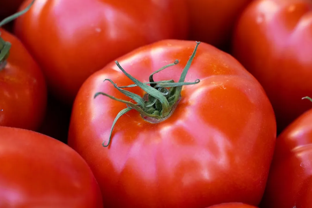 3. Mortgage Lifter Tomato: The Depression-Era Giant (Image Credits: Unsplash)