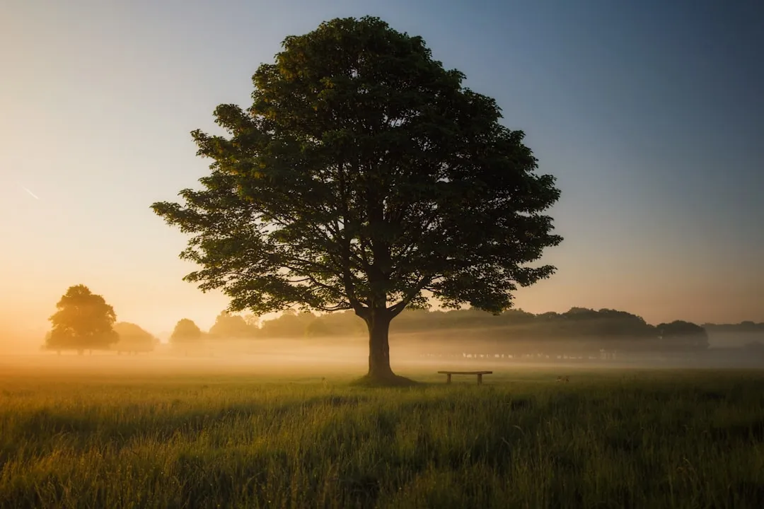 The Species Most Vulnerable After a Storm (Image Credits: Unsplash)