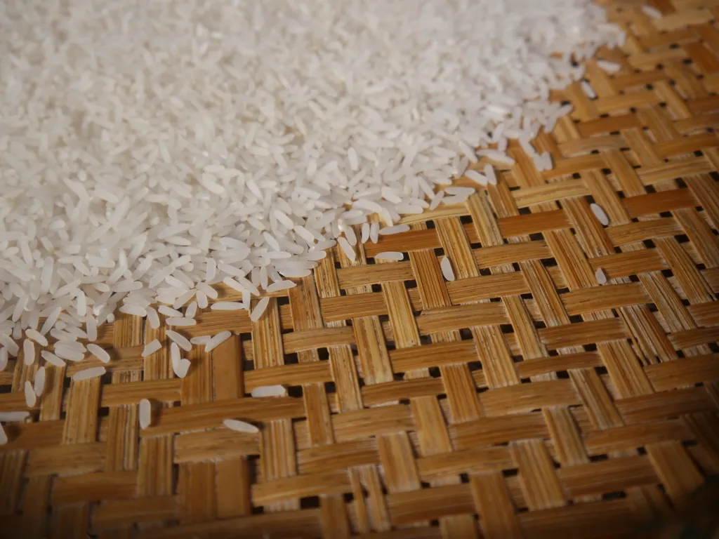 The Rice Variety Changes Everything (Image Credits: Rawpixel)