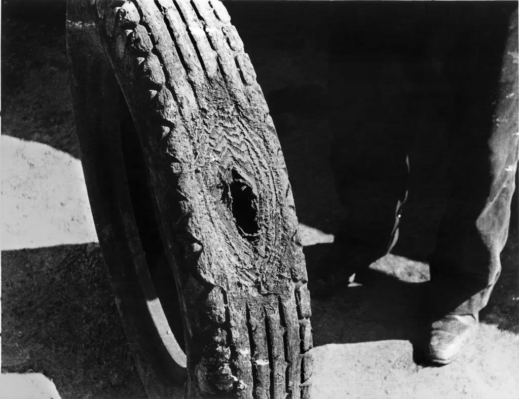 Pairing Rotation with Other Tire Maintenance (Image Credits: Rawpixel)
