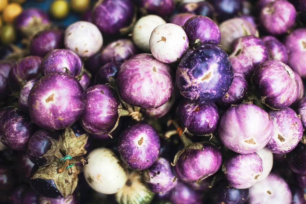 Anthocyanins and Skin Color Play a Bigger Role Than You Think (Image Credits: Rawpixel)