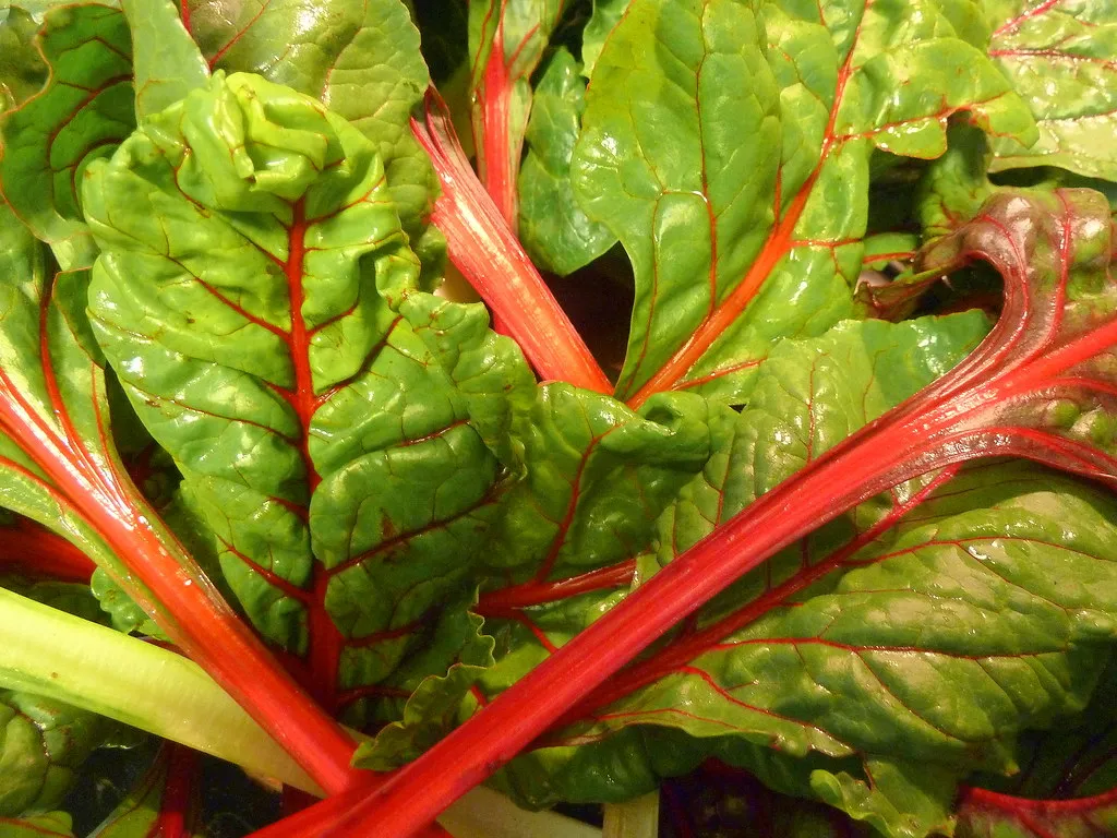 Harvesting at the Right Time Doubles the Payoff (krossbow, Flickr, CC BY 2.0)