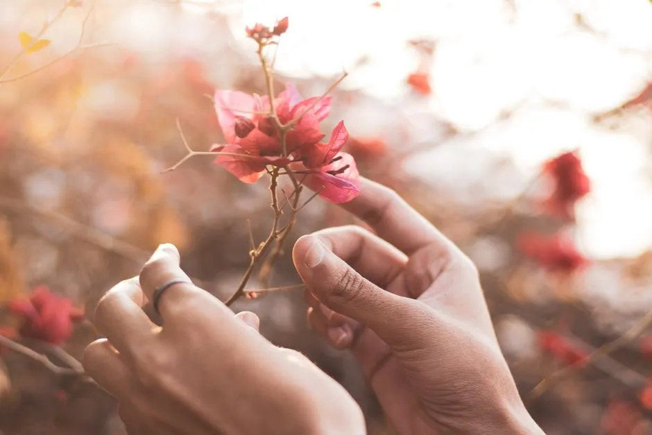 Conclusion: A Small Habit with a Big Payoff (Image Credits: Pexels)
