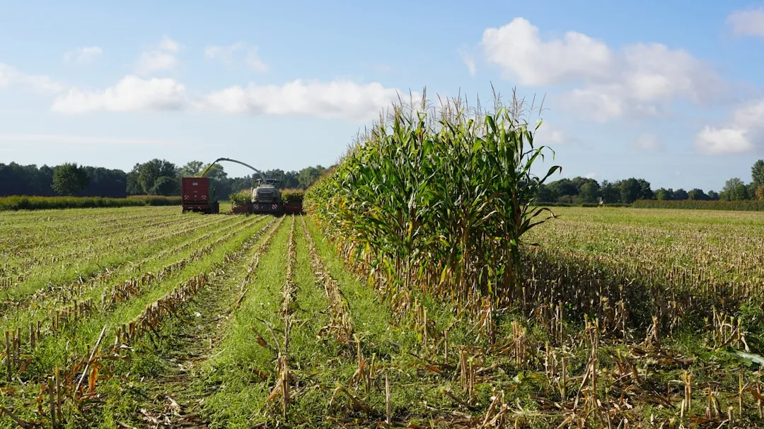 Corn and Soybean Farmers Are Already Planting Earlier (Image Credits: Unsplash)