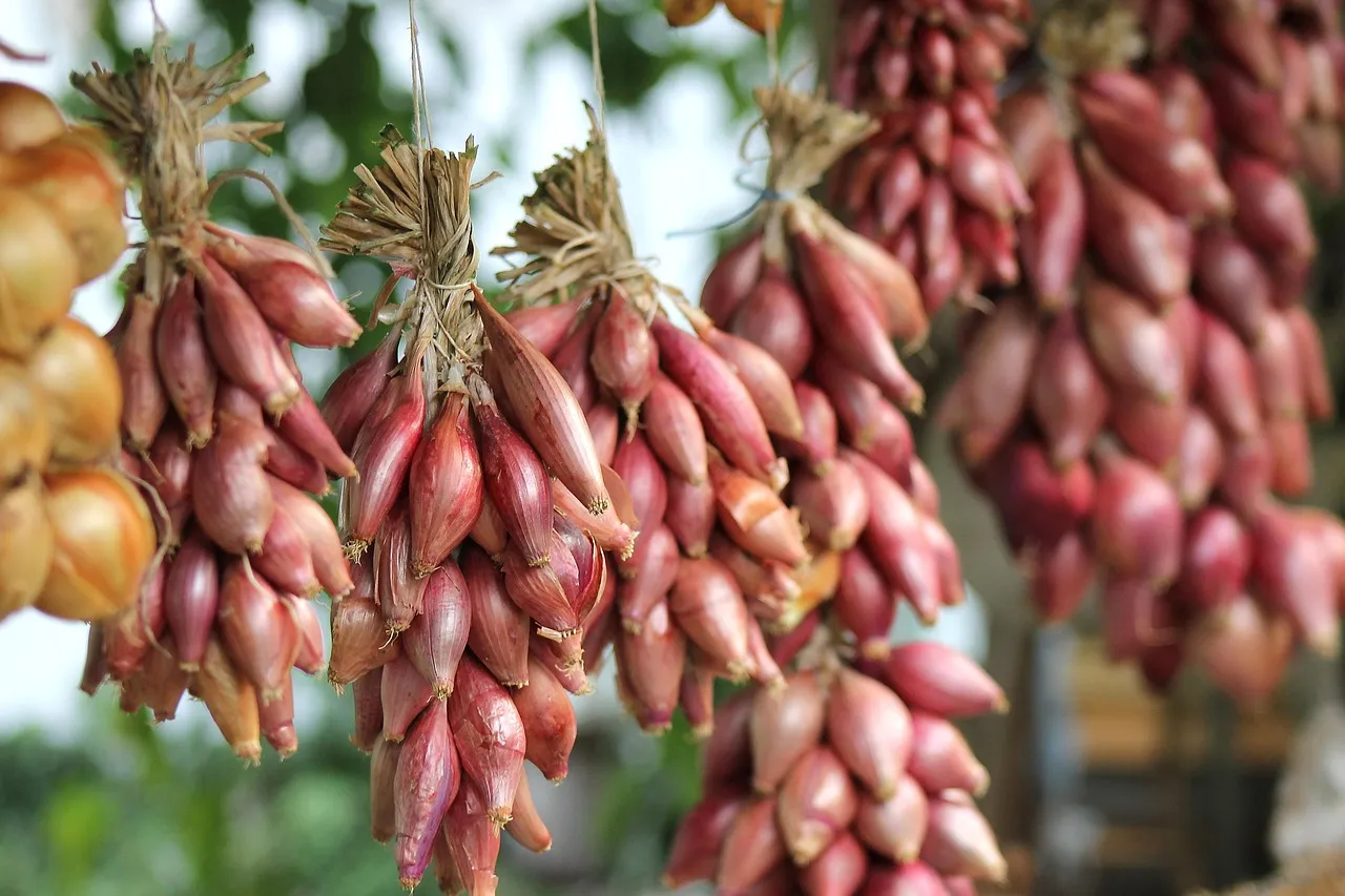 What They Grew: The Victory Garden Harvest (Image Credits: Pixabay)