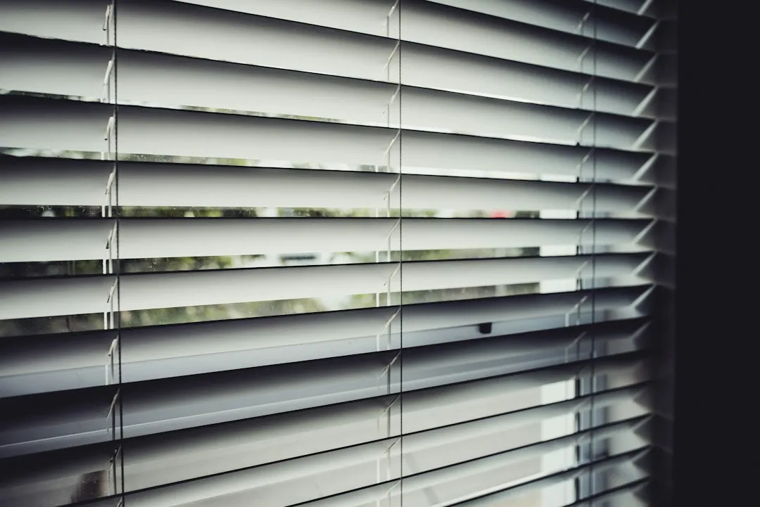 Why Blinds Collect So Much Dust (Image Credits: Unsplash)