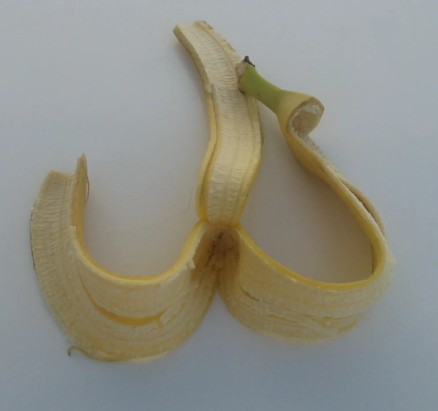 The Bigger Environmental Picture (photo taken by de:Benutzer:Priwo, Public domain)