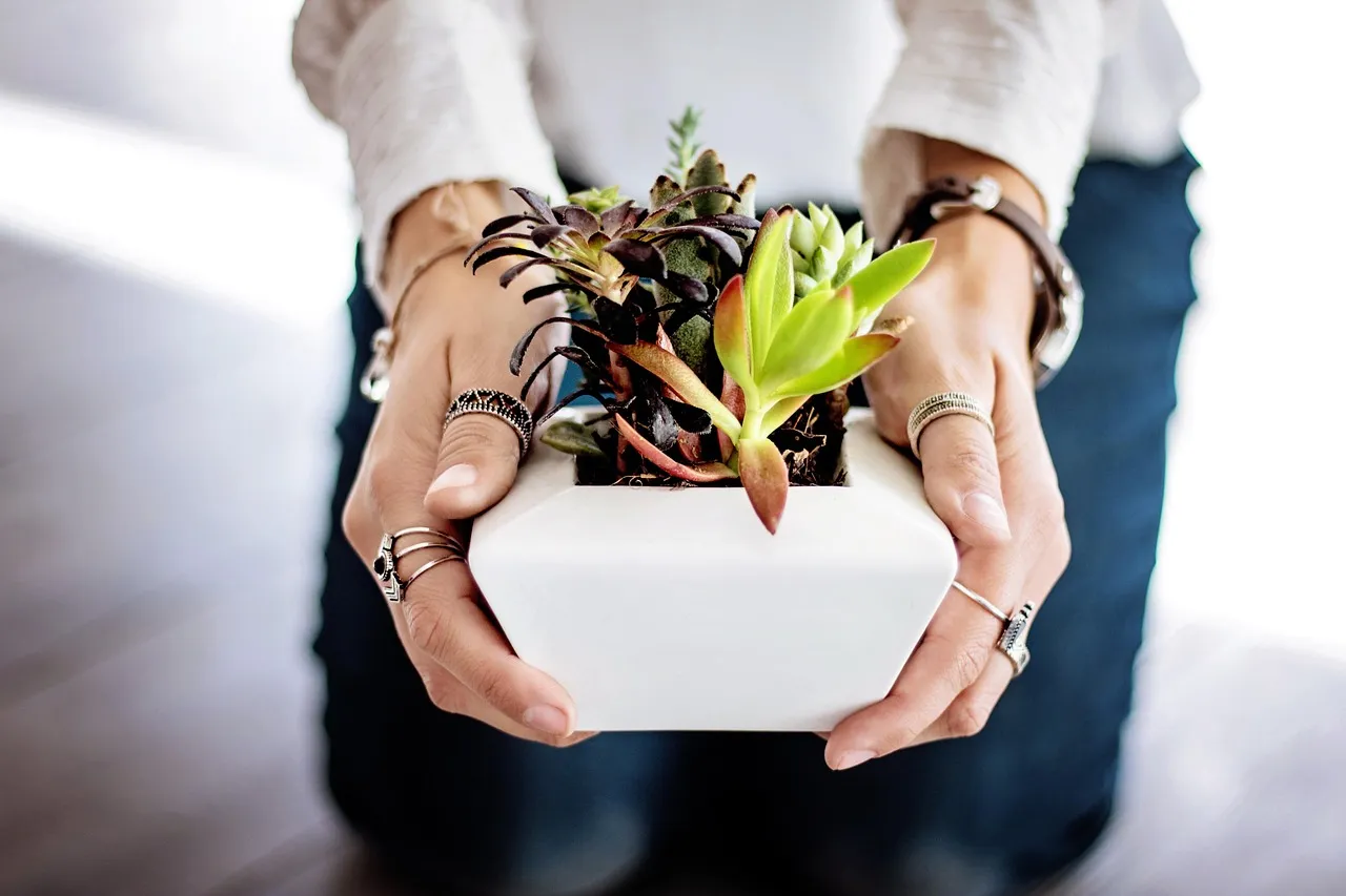 Pot Size Choices Can Do More Damage Than Staying Put (Image Credits: Pixabay)