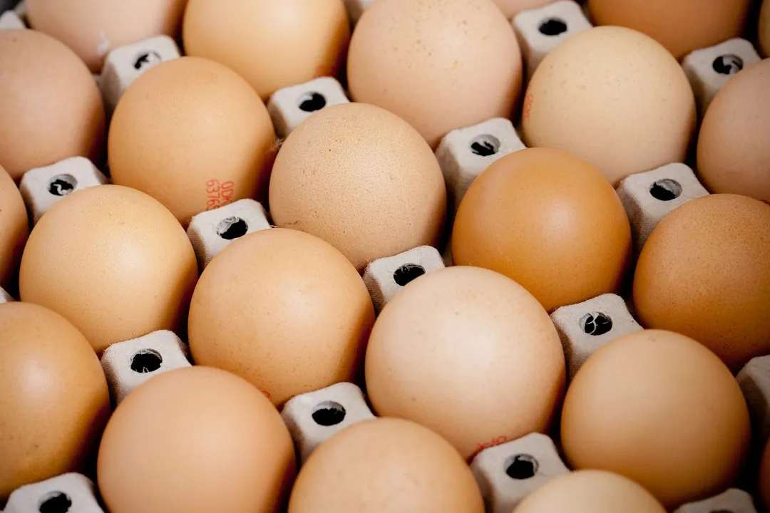What the USDA Requires and Why (Image Credits: Unsplash)