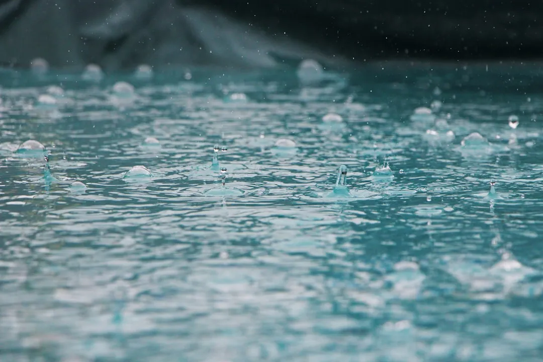 The Bigger Picture: Climate, Rain, and Water Taste (Image Credits: Unsplash)