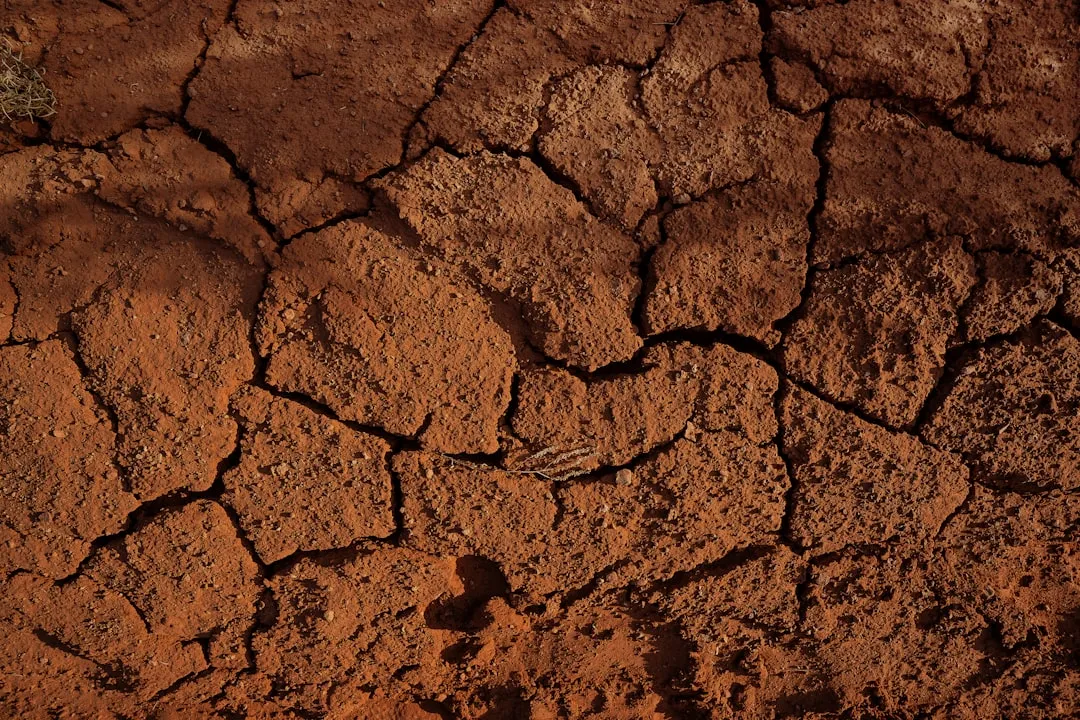 Undisturbed Soil: A Sealed Chemical World (Image Credits: Unsplash)