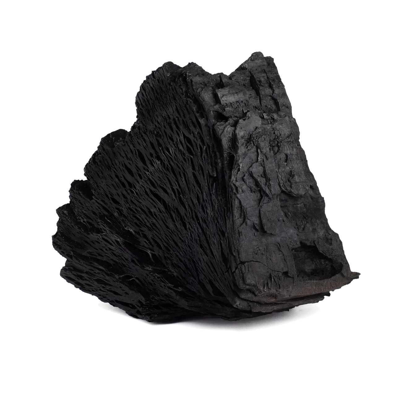 Clay Soil: Where Charcoal Earns Its Keep (Image Credits: Pixabay)
