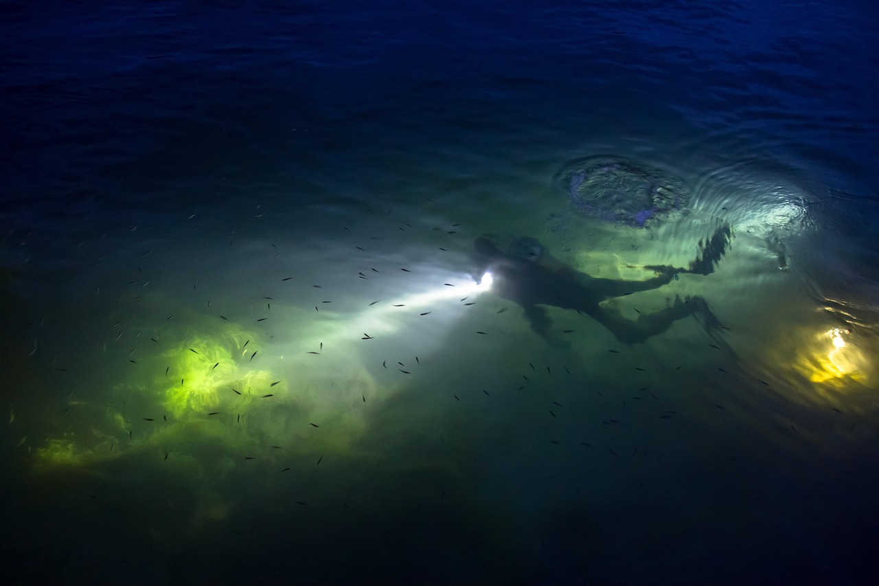 Night Diving: Underwater After Dark Adventures (Image Credits: Pixabay)