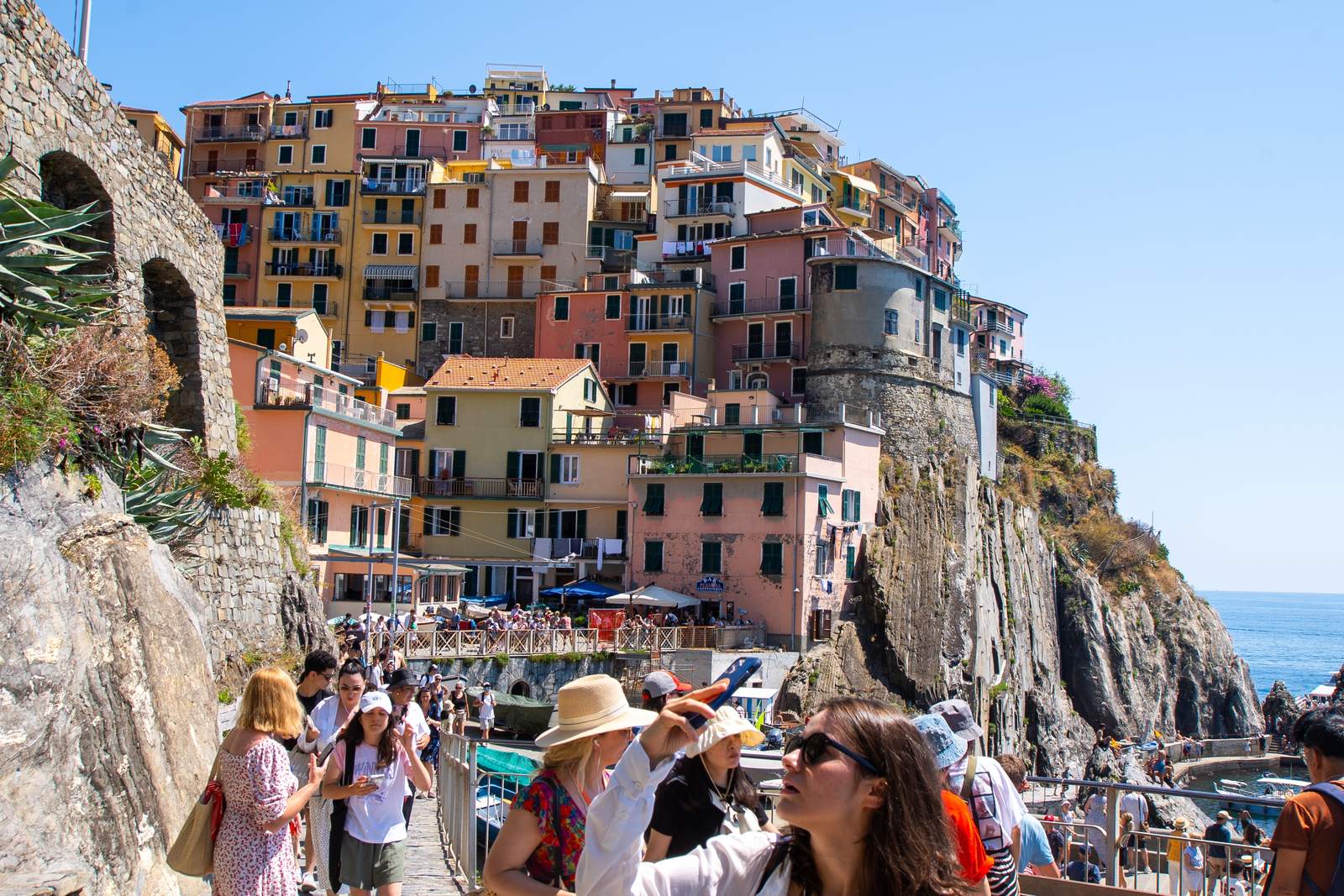 The Economics Behind the Backlash (Image Credits: Shutterstock)