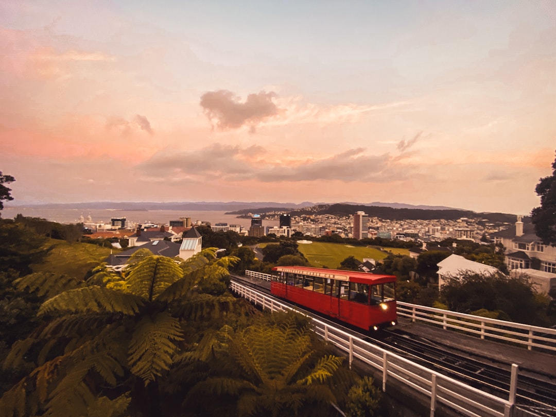 Wellington, New Zealand: Capital City with Small-Town Soul (Image Credits: Unsplash)