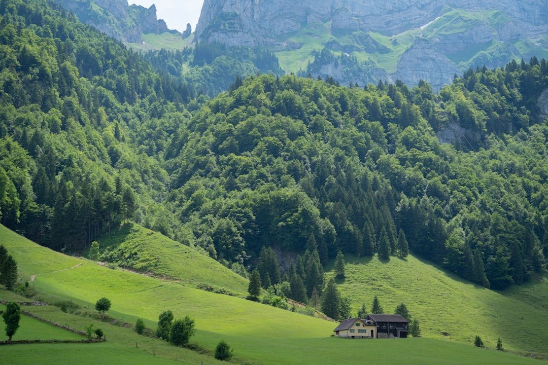 Conclusion (Image Credits: Unsplash)