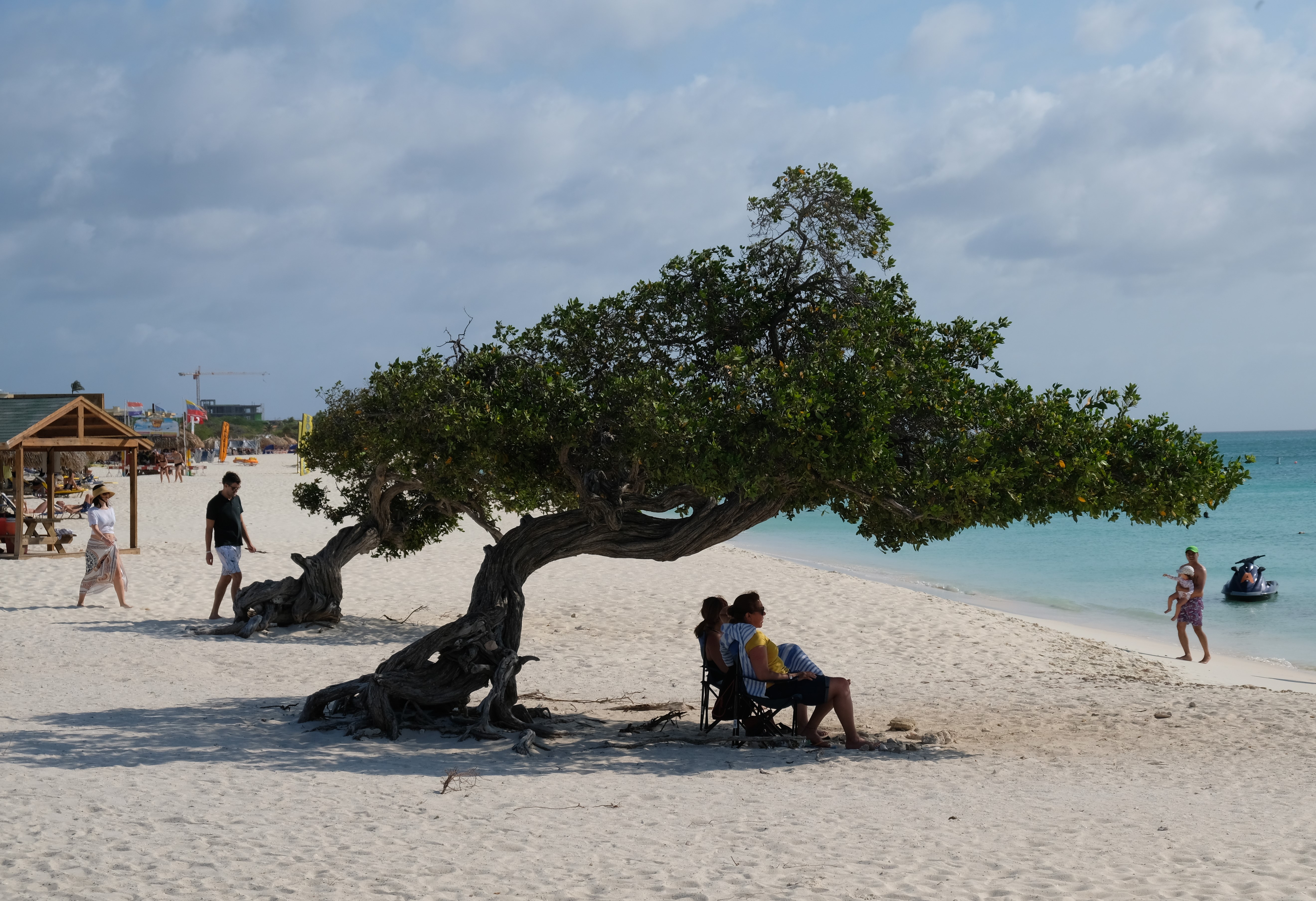 Aruba: The Reliable Paradise (Image Credits: Wikimedia)