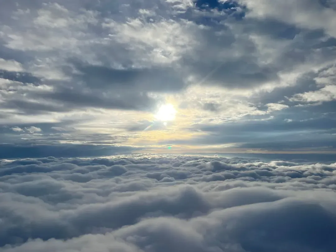The Data Is Damning: Morning Flights Win Every Time (Image Credits: Unsplash)