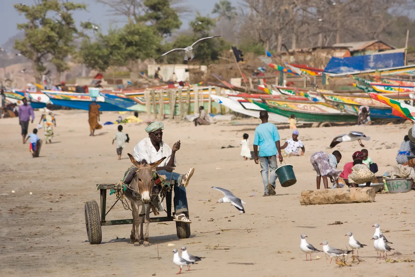 The Gambia (Image Credits: Wikimedia)