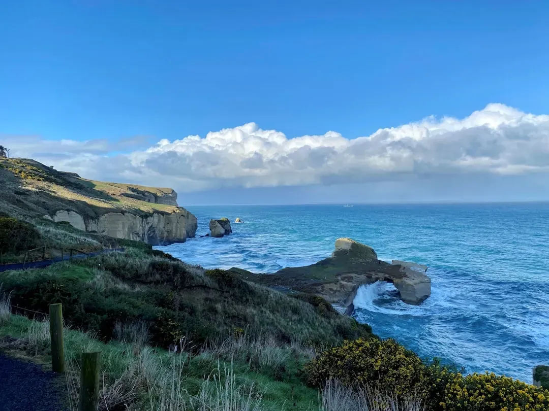Retreat 4: New Zealand's South Island West Coast (Image Credits: Unsplash)