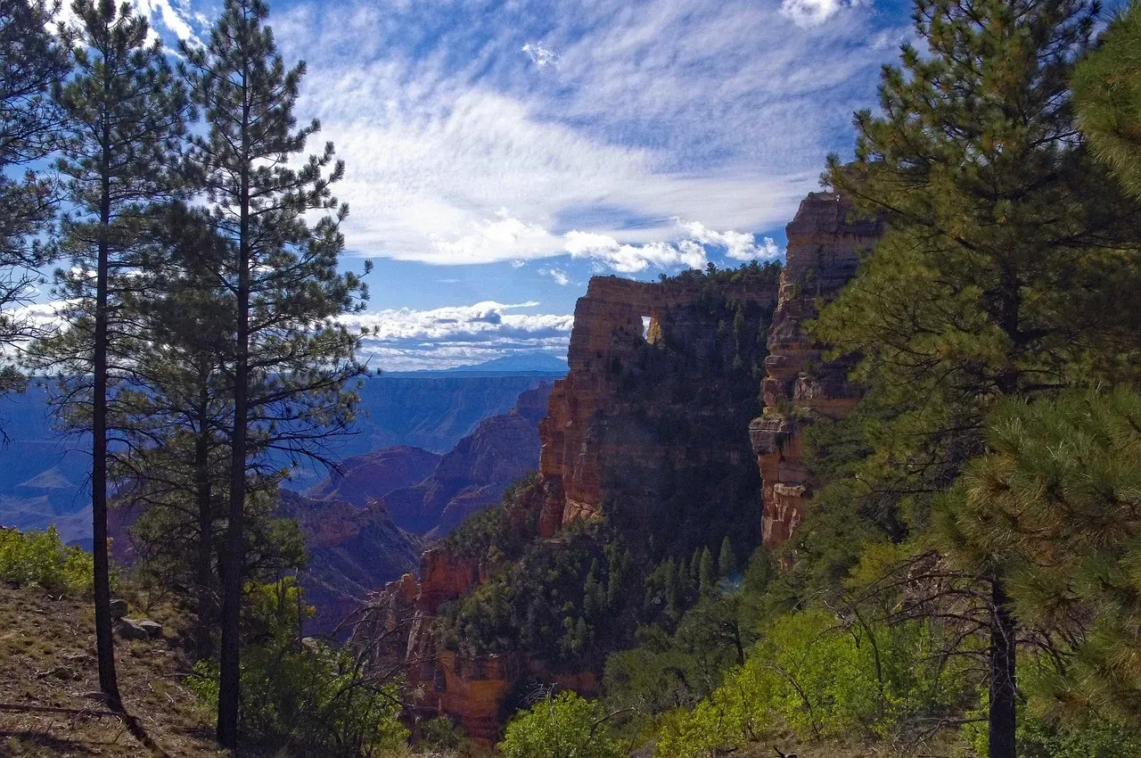 A World Apart: What Makes the North Rim So Different (Image Credits: Pixabay)