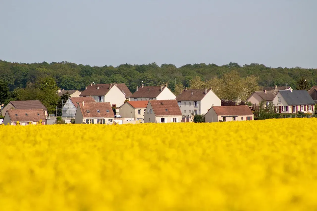 #2 - The Suburb Being Sold as the American Dream When It Was Assembled by Federal Policy (Image Credits: Pixabay)