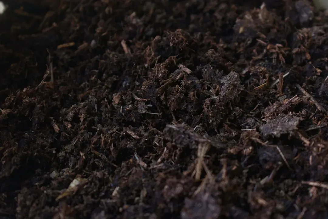 #12 - Compost Is "Black Gold" for a Reason, but You're Probably Using It Wrong (Image Credits: Unsplash)