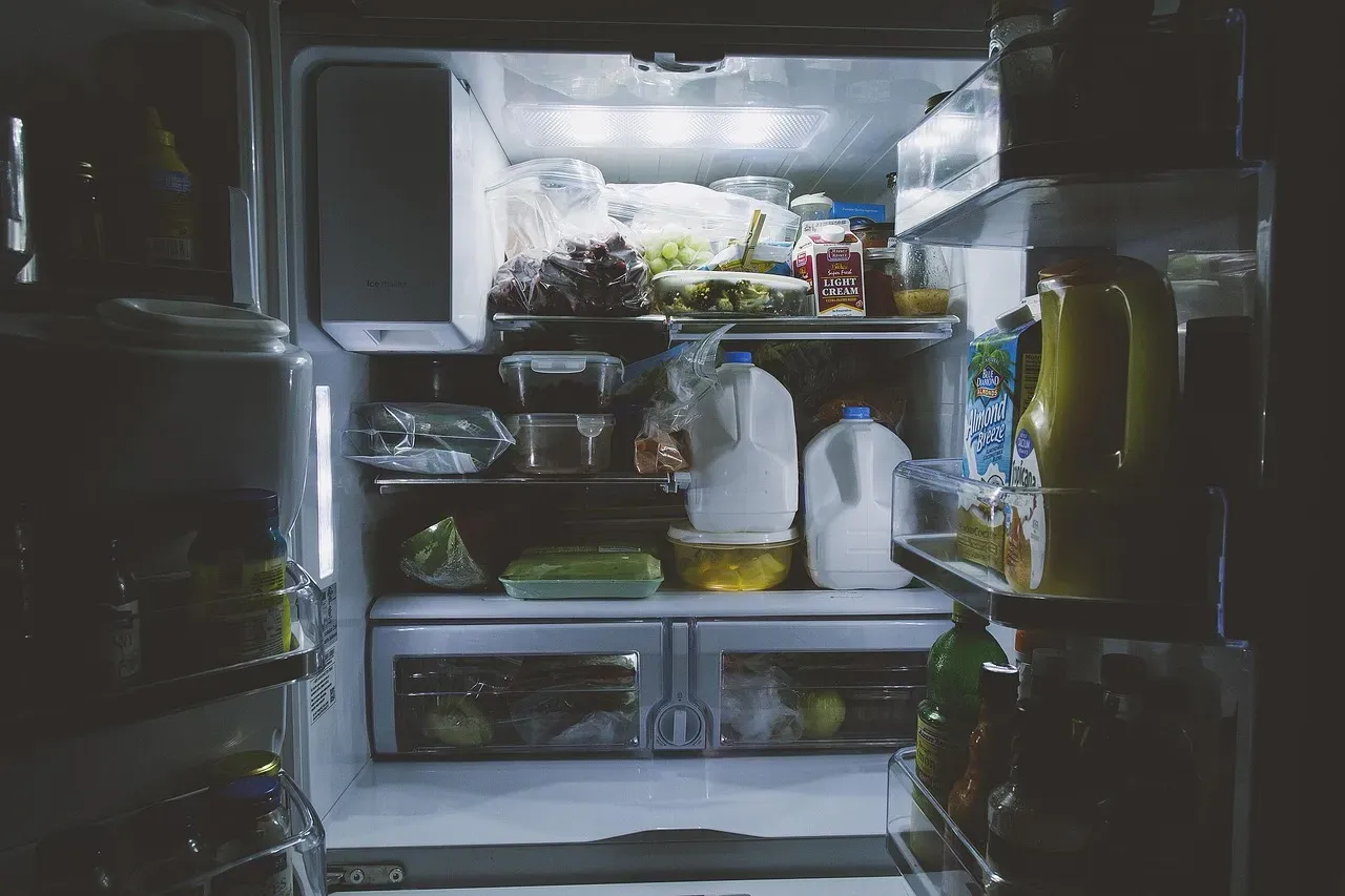 #6 - Expired, Unlabeled, or Mixed-Up Food in the Refrigerator (Image Credits: Pixabay)