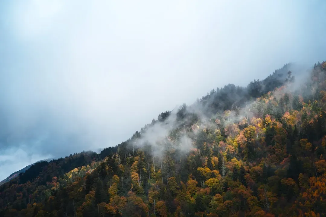 1. Great Smoky Mountains: The Underdog That Crushes Every Metric (Image Credits: Unsplash)
