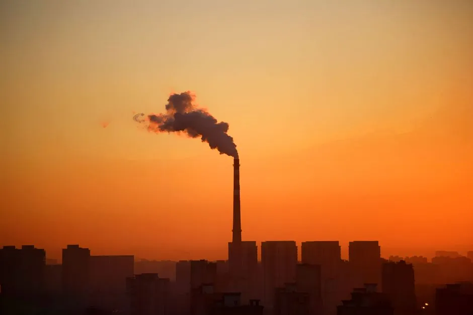 The environmental trade-off nobody loves (Image Credits: Pexels)