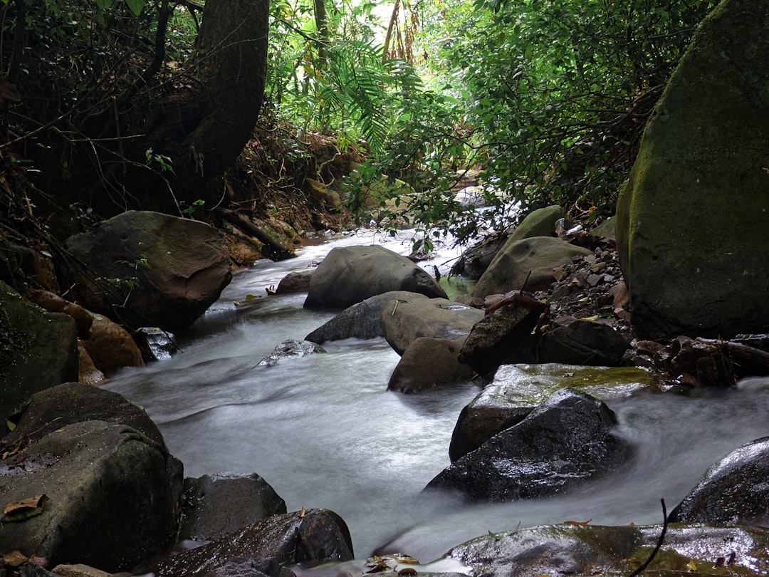 Costa Rica: Central America's Peaceful Paradise (Image Credits: Unsplash)