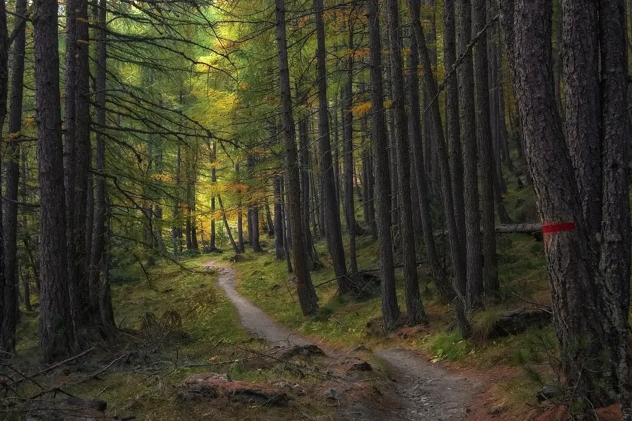 Hannegan Pass and the Copper Ridge Corridor (Image Credits: Pixabay)