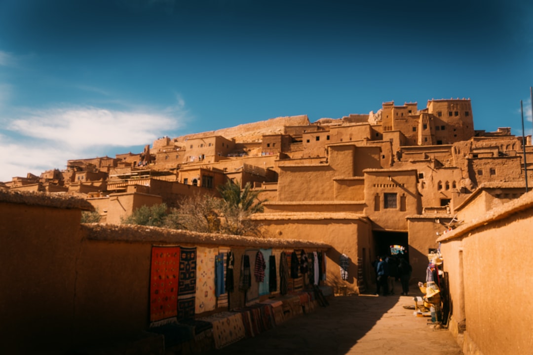 U.S. Urges Citizens To Leave Mali Immediately (Image Credits: Unsplash)