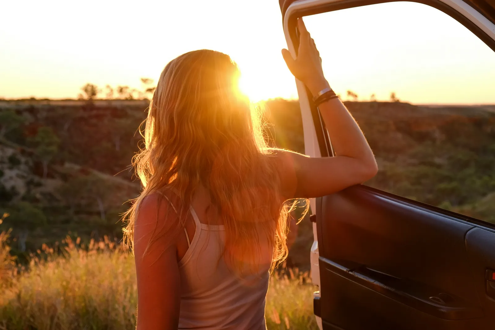 1. The Passenger Wound (Image Credits: Unsplash)