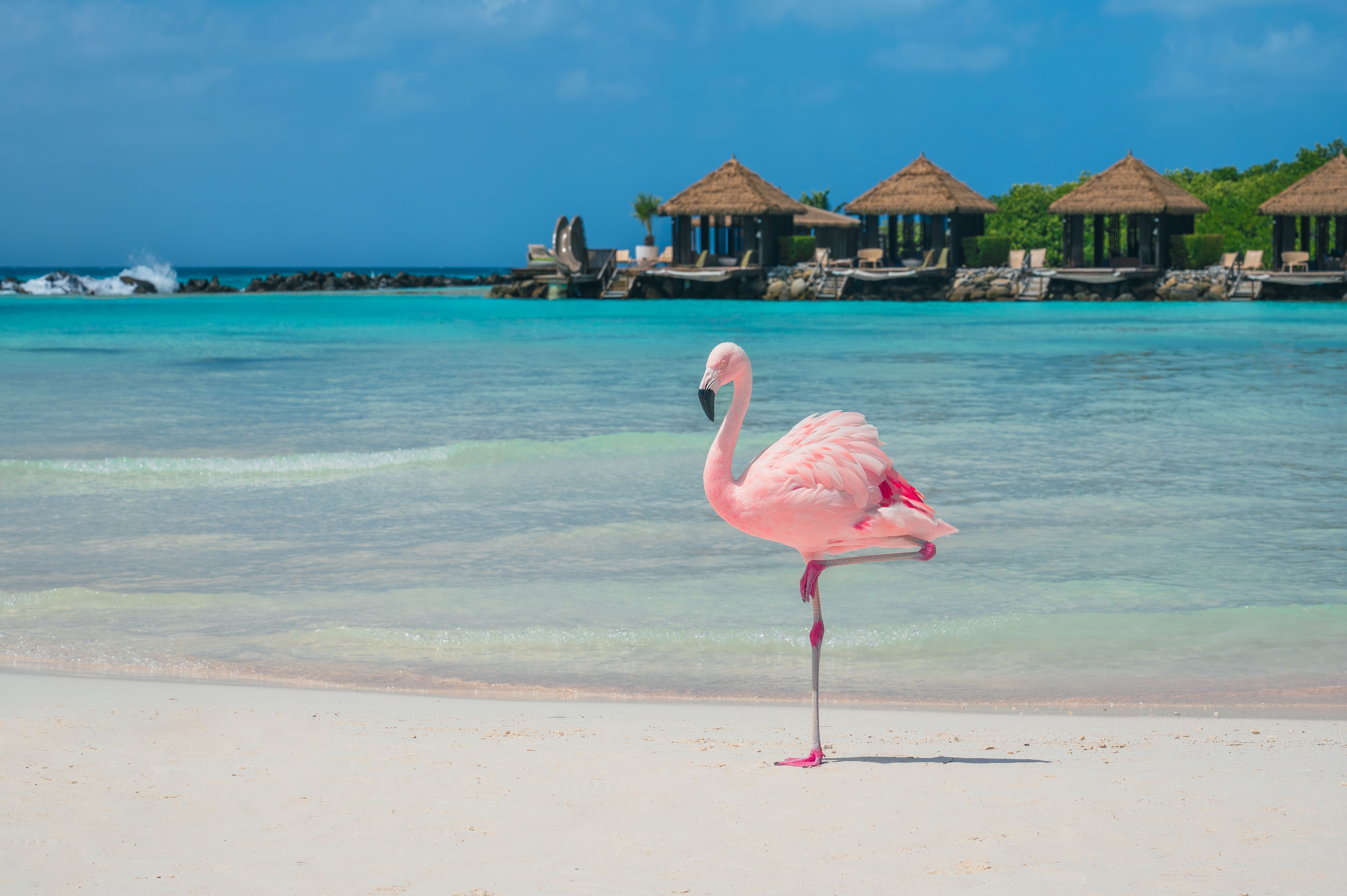 Aruba: Year-Round Perfect Weather (Image Credits: Shutterstock)